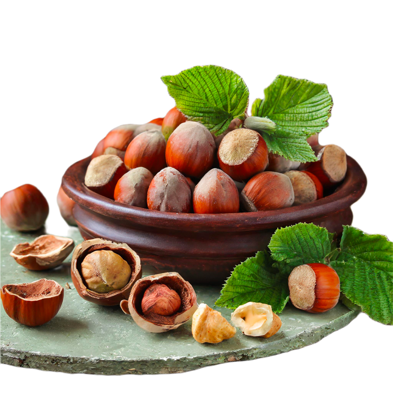 Noisettes