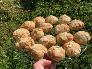 Recette macarons aux amandes effilées